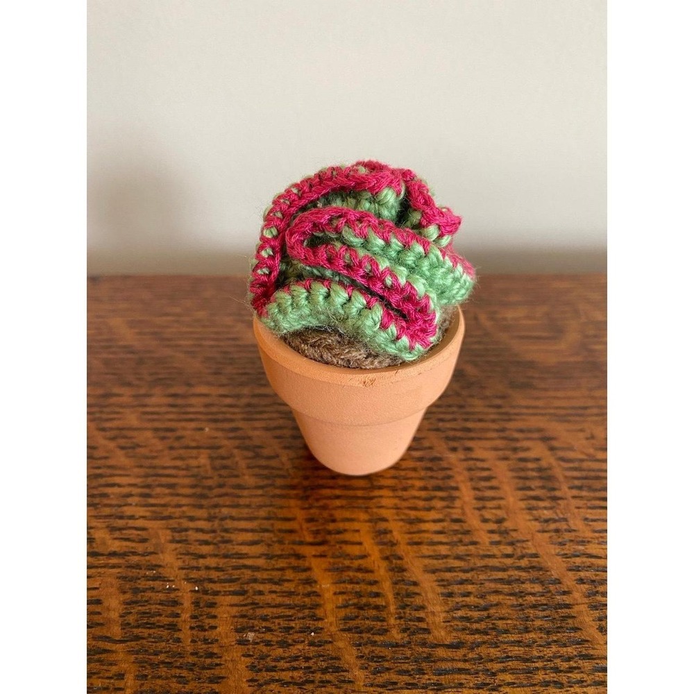 Mauna Loa Succulent Mini Crochet Cactus Plant in Terracotta Pot Green Pink k15